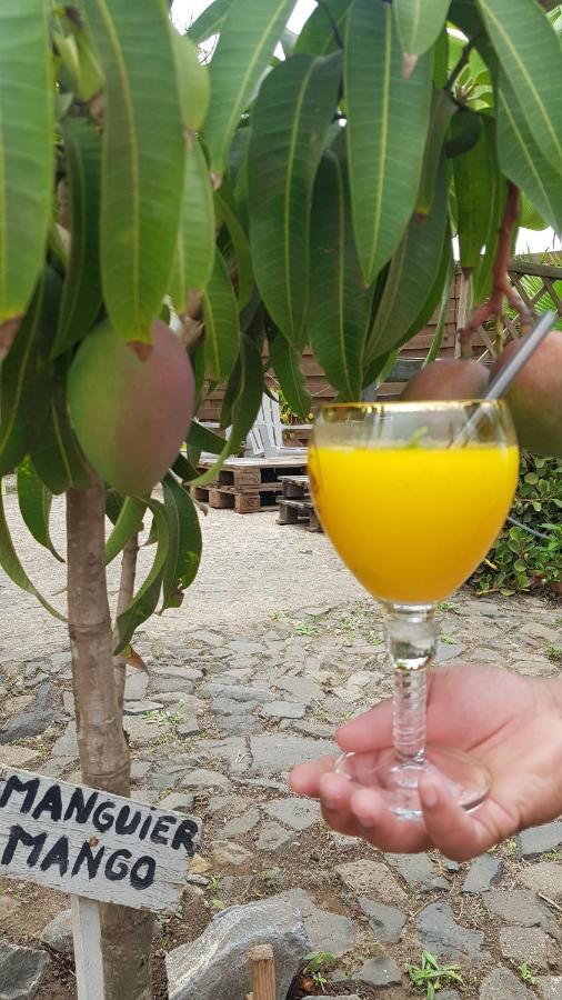 Bed & Breakfast Cote De France