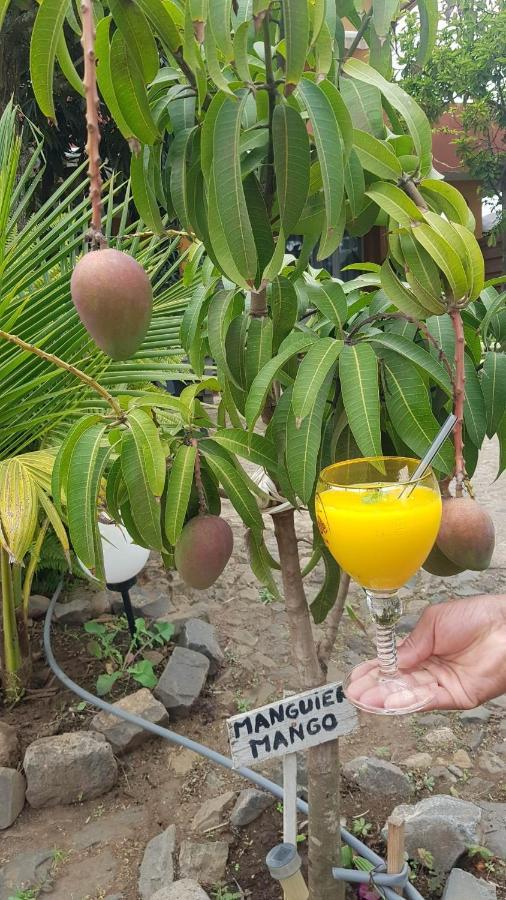 Cote De France Fundura